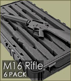 M16 - 6 Pack Gun Case