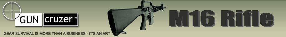M16 12 pack deployment shipping & carrying gun case: GunCruzer