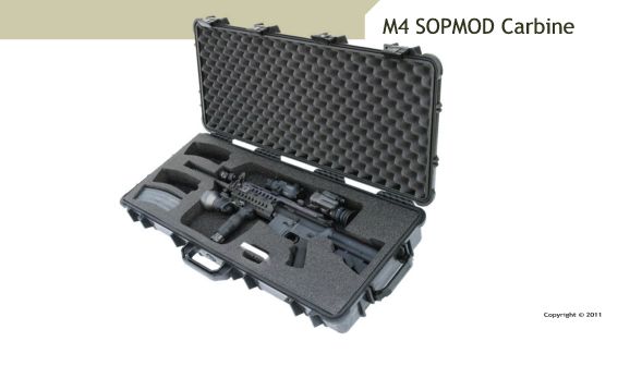weapon case